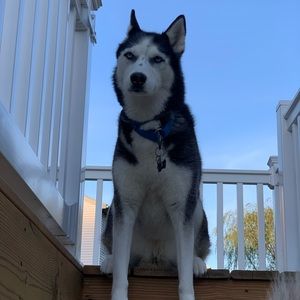 Meet your Posher, Jason